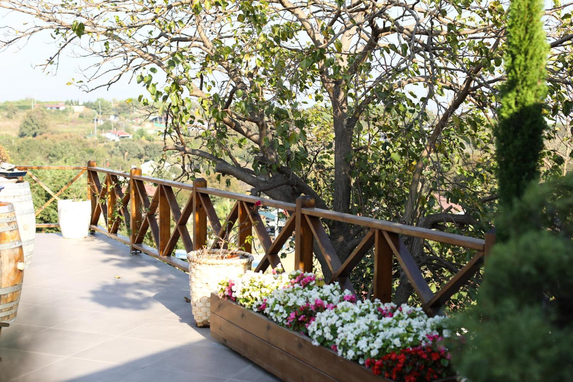 Mavi At Hotel Blue Horse Gumusdere Buitenkant foto